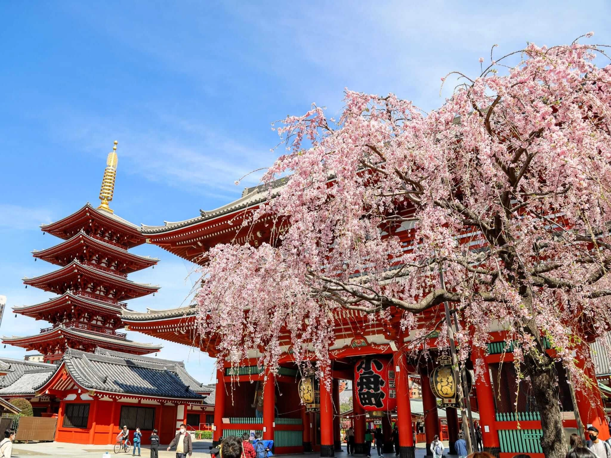 Tokyo Travel Guide: From Arrival to Departure – The Ultimate City of Neon, Tradition, and Endless Discovery
